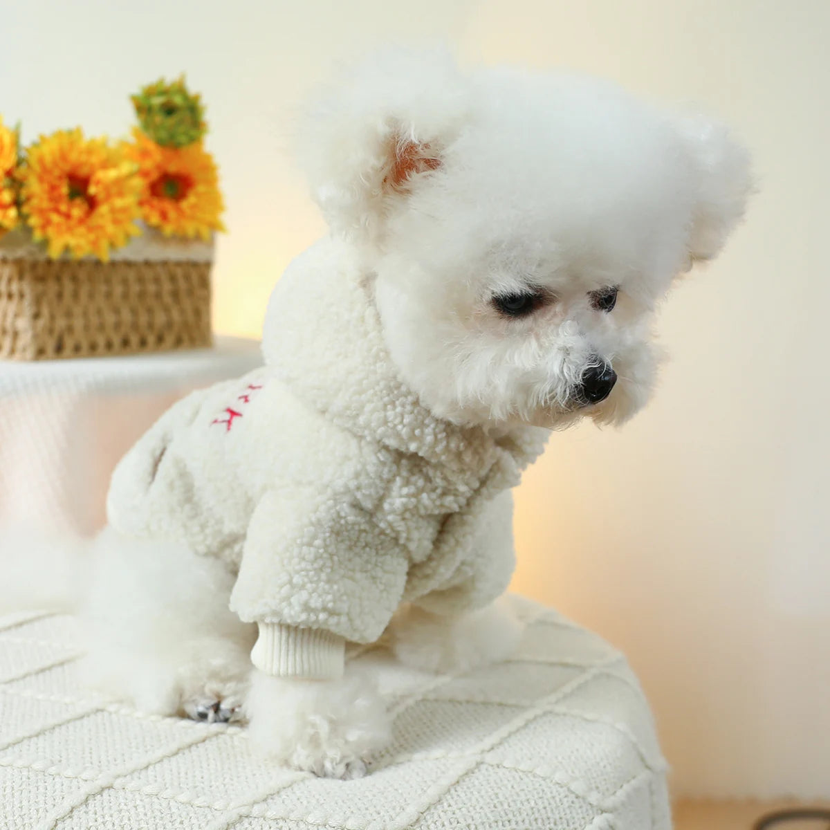 Warm White New York Pet Hoodie Coat for Small and Medium Sized Dogs