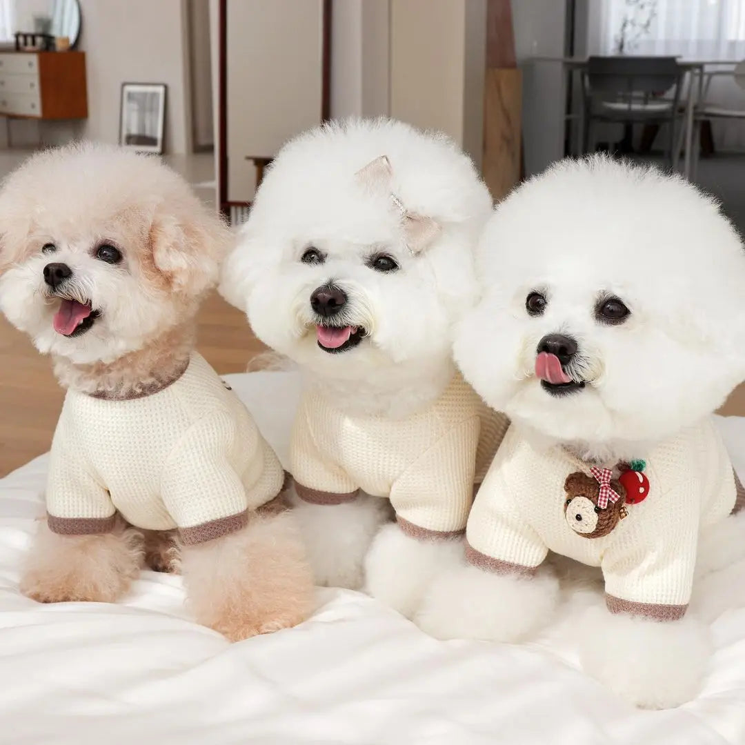 Dogs Clothes Dog Couples Dress Embroidery Bear Dog T-Shirt For Puppy Kitten Clothing Cats Chihuahua Bichon Outfit Pet Apparels