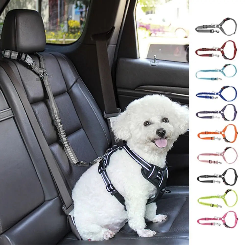 Two-in-one Dog Harness Leash Pet Car Seat Belt Adjustable Puppy Kitten Car BackSeat Safety Belt Pet Accessories