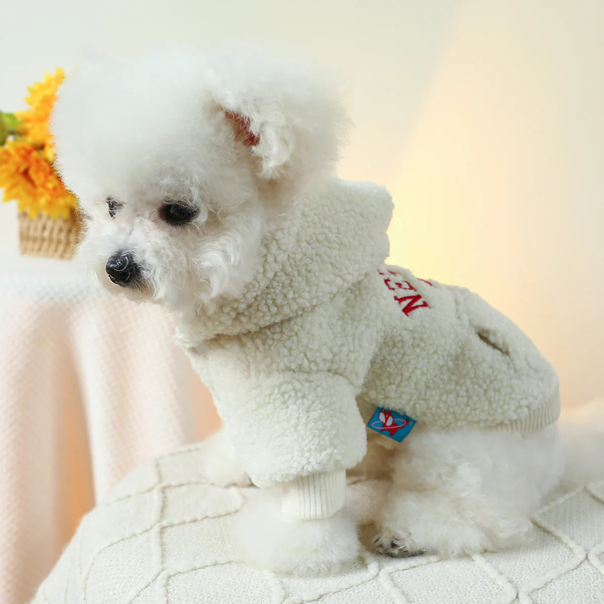 Warm White New York Pet Hoodie Coat for Small and Medium Sized Dogs