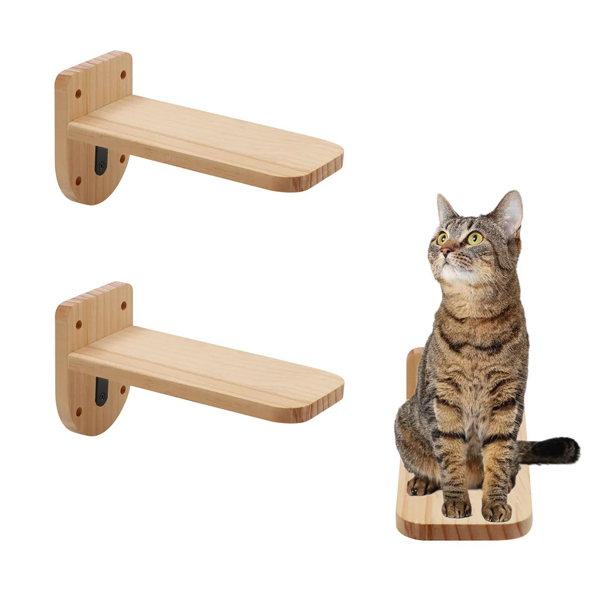 Wall Mounted Cat Bed Hammock & Climbing Platform Set