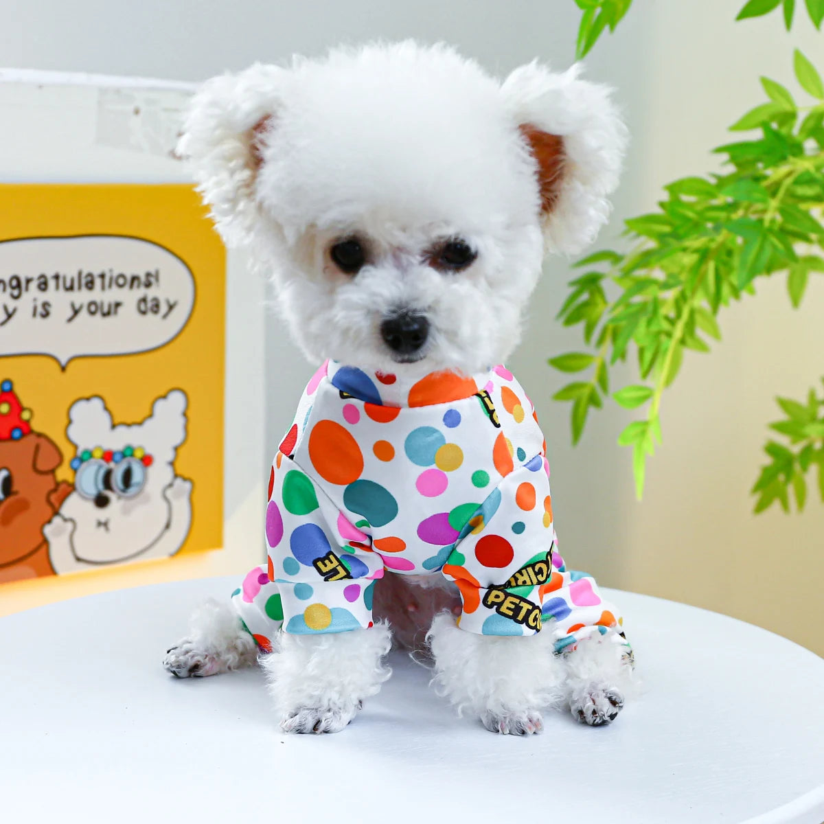 Bubble White Drawstring Dog Pyjamas - Stylish Spring/Autumn Wear for Small and Medium Dogs