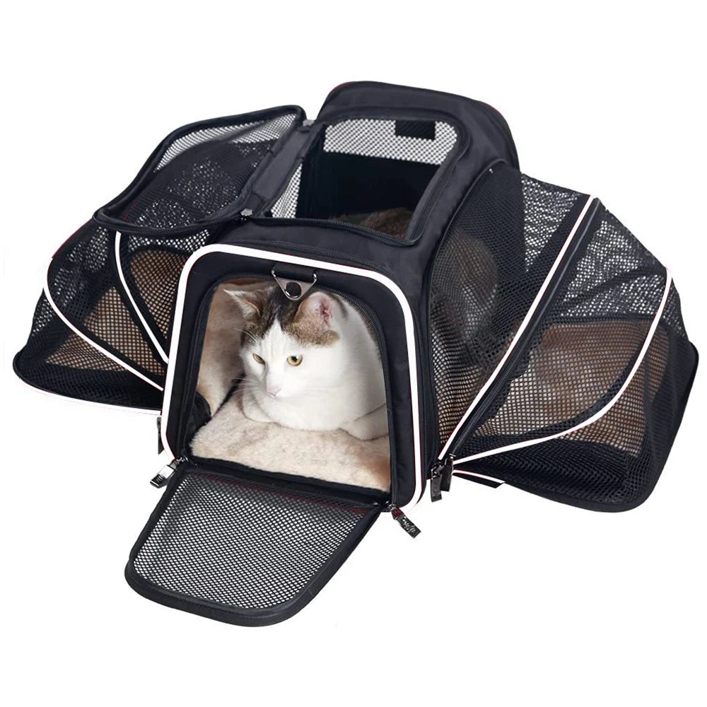 Cat Dog Carrier Bags Outgoing Outdoor Travel Pets Cats Transport Handbag Pet Carriers Backpack Portable Breathable Foldable Bag